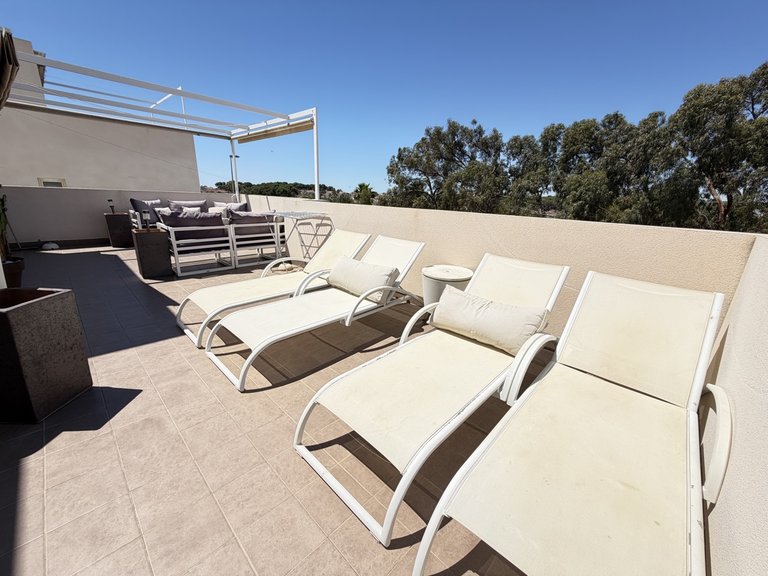 Villa for Sale in Mil Palmeras, Alicante 24