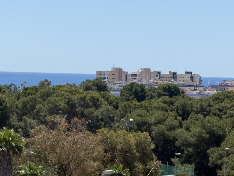 Villa for Sale in Mil Palmeras, Alicante 30