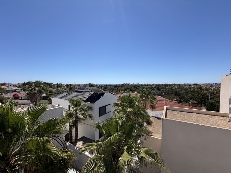 Villa for Sale in Mil Palmeras, Alicante 31