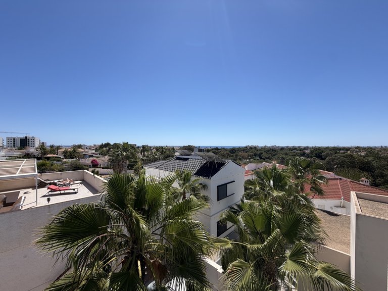 Villa for Sale in Mil Palmeras, Alicante 32
