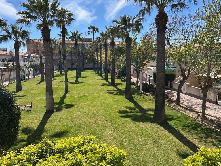 Apartment for Sale in Cabo Roig, Alicante 5