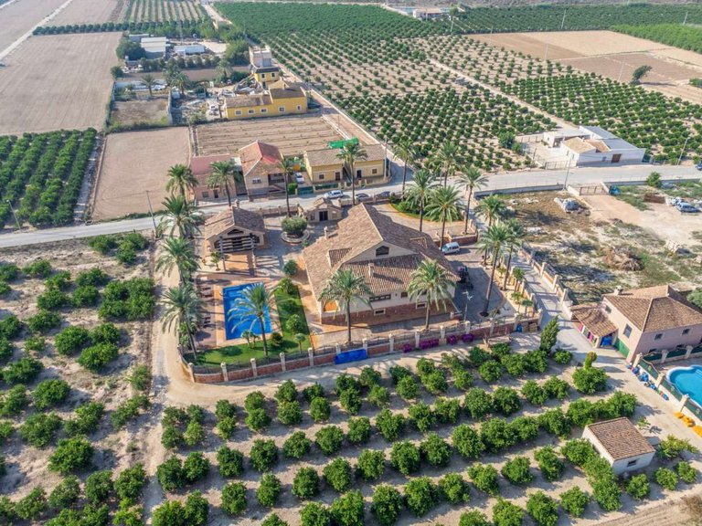 Villa for Sale in Orihuela, Alicante 6