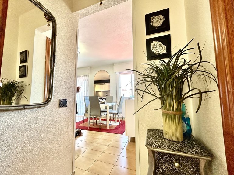 Apartment for Sale in Torrevieja, Alicante 21