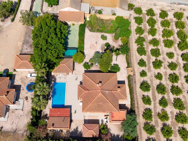 Villa for Sale in Daya Vieja, Alicante 5