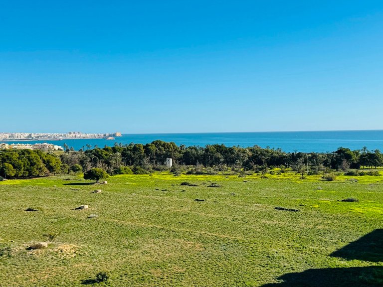 Apartment for Sale in Punta Prima, Alicante 2