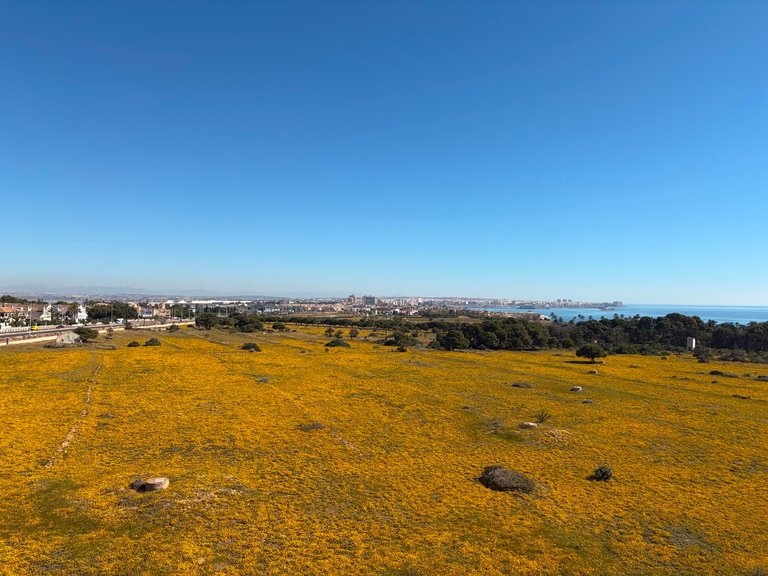 Apartment for Sale in Punta Prima, Alicante 32