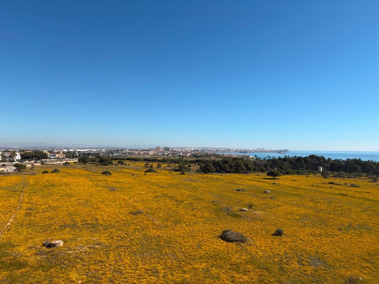 Apartment for Sale in Punta Prima, Alicante 33