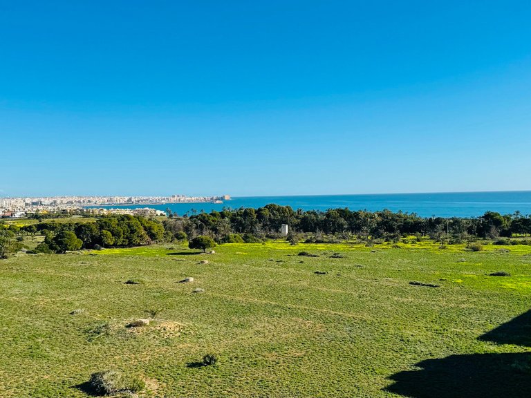 Apartment for Sale in Punta Prima, Alicante 34