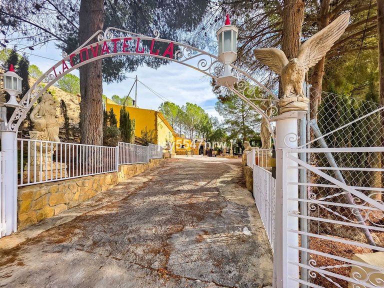 Country House for Sale in Pinoso, Alicante 36