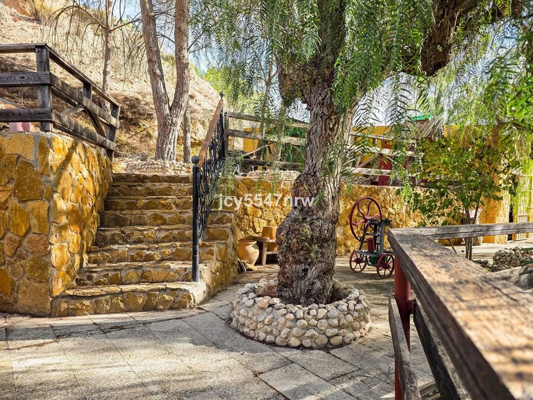 Country House for Sale in Pinoso, Alicante 38