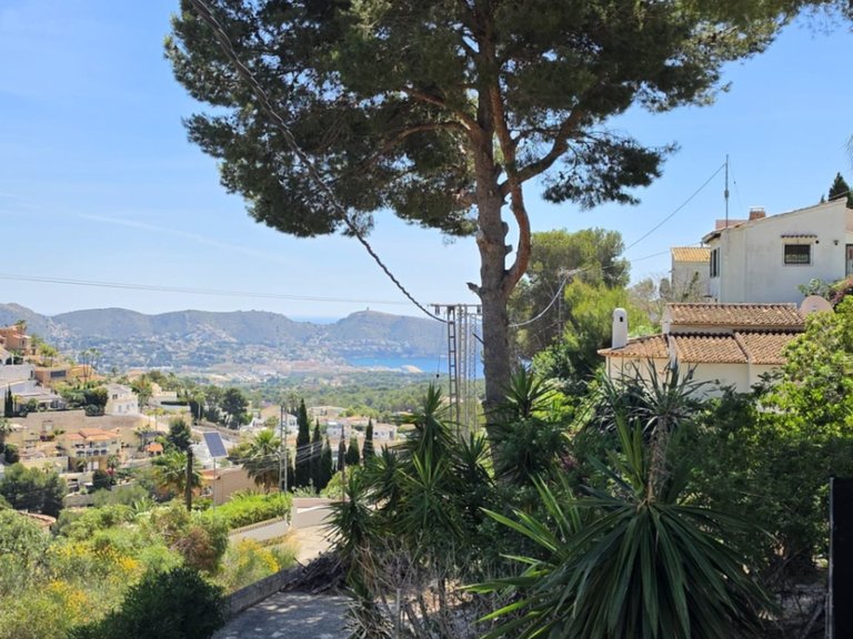 Villa for Sale in Algorfa, Alicante 1