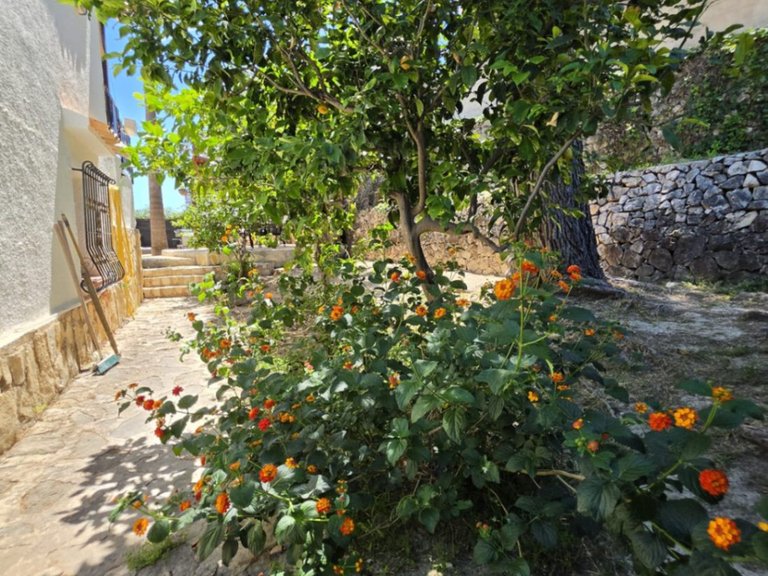 Villa for Sale in Algorfa, Alicante 44