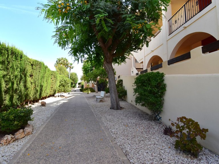 Apartment for Sale in Playa Flamenca, Alicante 25