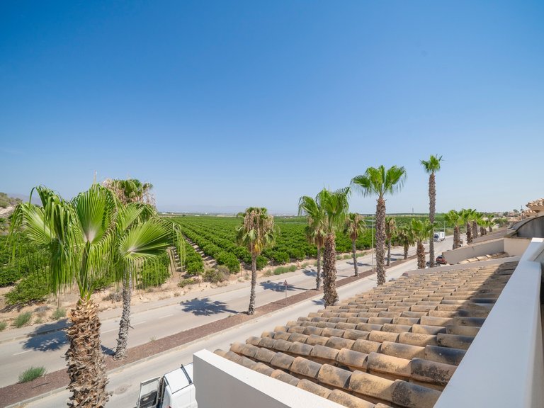 Villa for Sale in Algorfa, Alicante 30