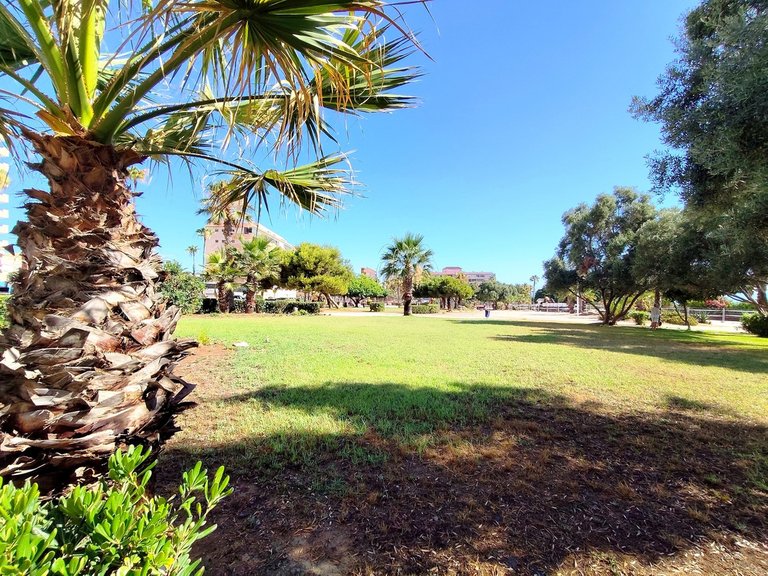 Apartment for Sale in Torrevieja, Alicante 22