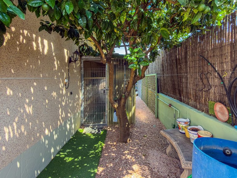 Villa for Sale in Catral, Alicante 50