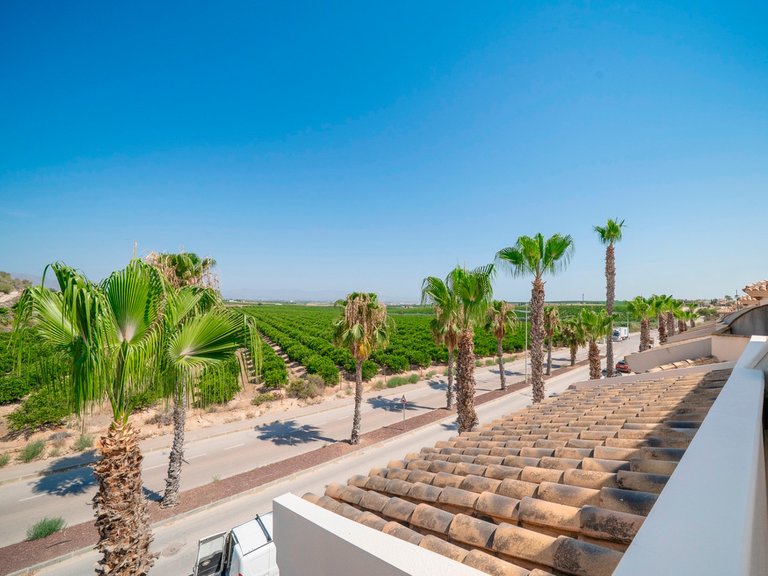 Town House for Sale in Algorfa, Alicante 30