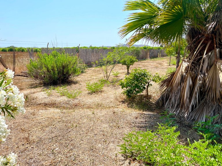 Villa for Sale in Daya Nueva, Alicante 16