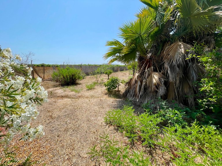 Villa for Sale in Daya Nueva, Alicante 17