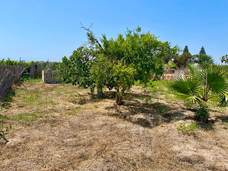 Villa for Sale in Daya Nueva, Alicante 19