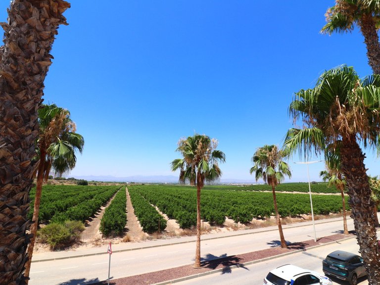 Villa for Sale in Algorfa, Alicante 30