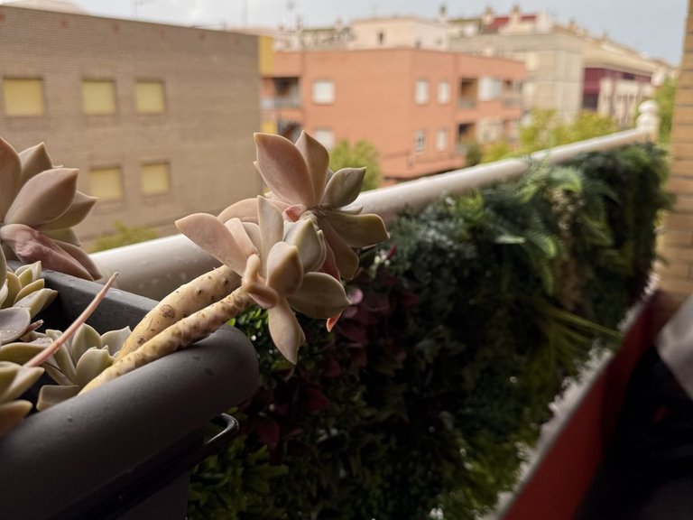 Apartment for Sale in San Pedro Del Pinatar, Murcia 30
