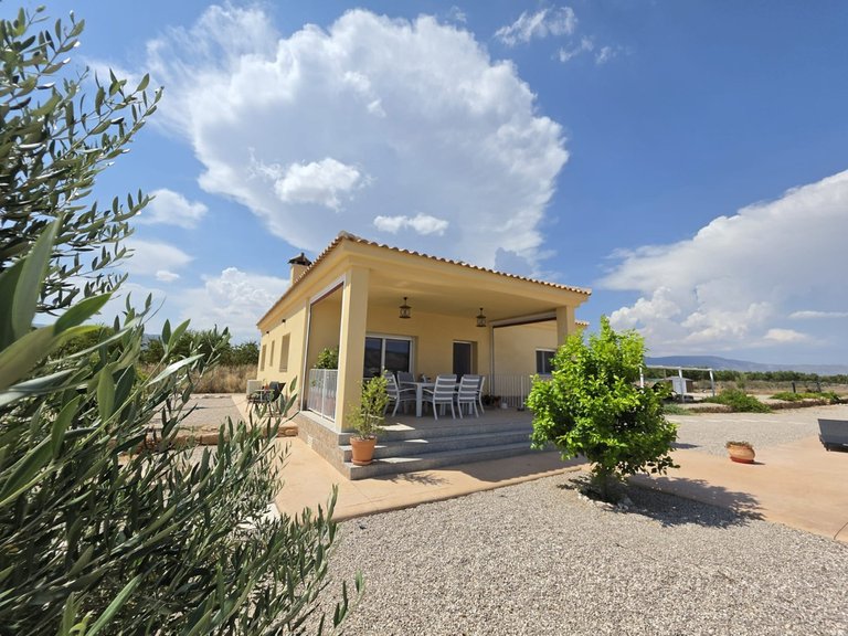 Villa for Sale in Pinoso, Alicante 4