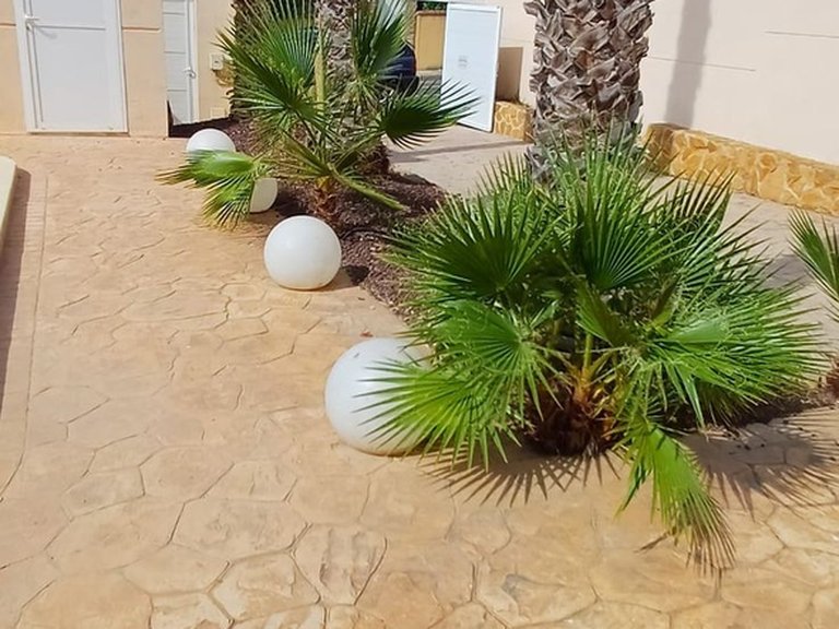 Villa for Sale in Algorfa, Alicante 8