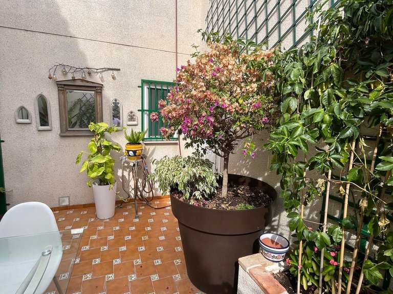 Town House for Sale in Rojales, Alicante 10