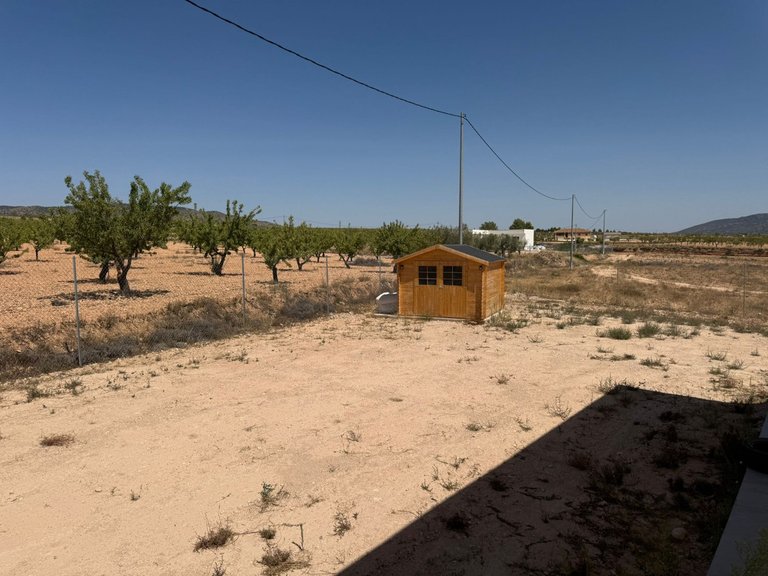 Villa for Sale in Pinoso, Alicante 23