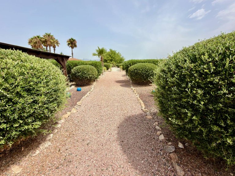 Villa for Sale in Catral, Alicante 20