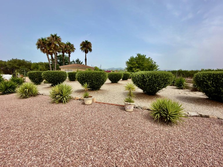 Villa for Sale in Catral, Alicante 21