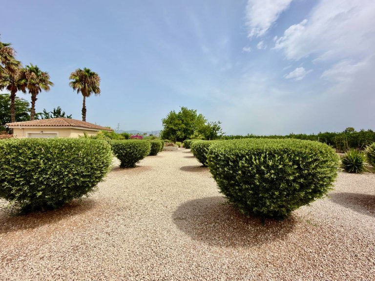 Villa for Sale in Catral, Alicante 22
