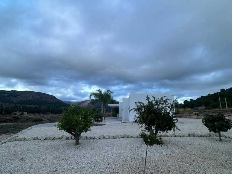 Villa for Sale in Pinoso, Alicante 14