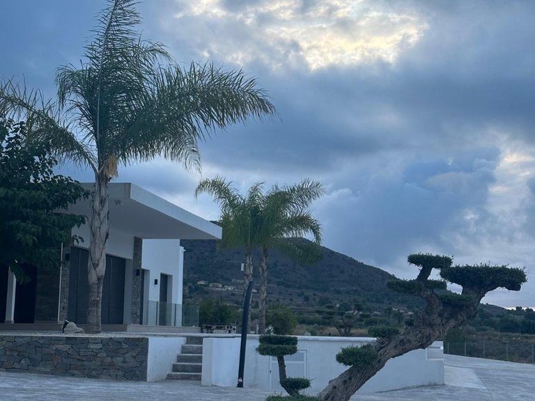 Villa for Sale in Pinoso, Alicante 18