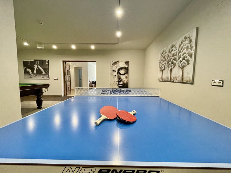 Villa for Sale in Alicante, Alicante 44
