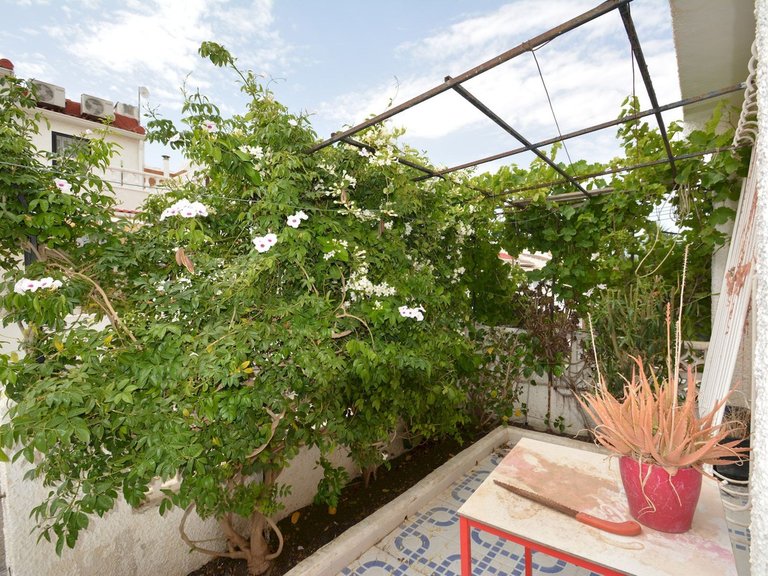 Town House for Sale in Torrevieja, Alicante 15