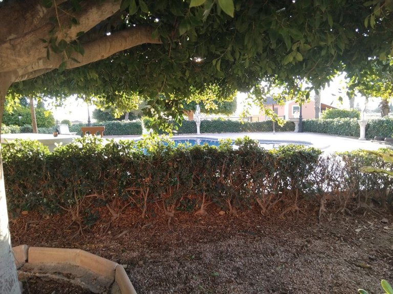 Villa for Sale in Dolores, Alicante 30