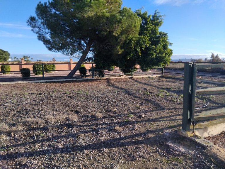 Villa for Sale in Dolores, Alicante 33