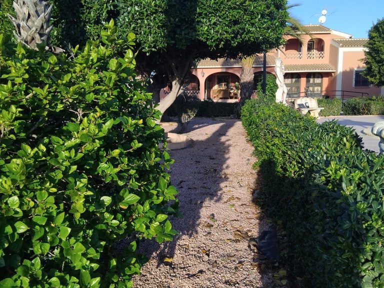 Villa for Sale in Dolores, Alicante 36