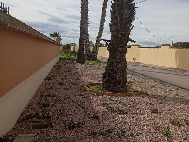 Villa for Sale in Dolores, Alicante 47