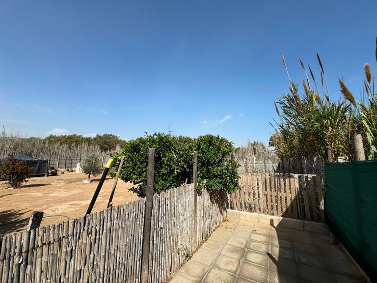 Villa for Sale in Guardamar Del Segura, Alicante 9