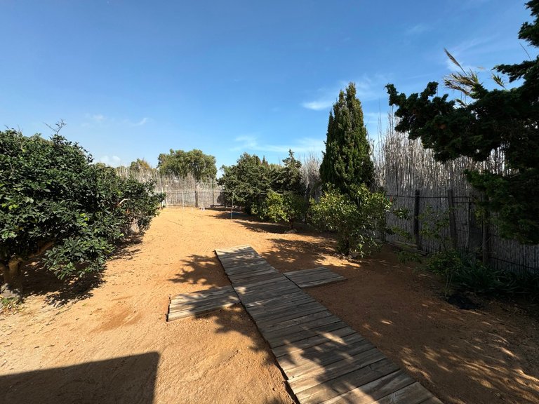 Villa for Sale in Guardamar Del Segura, Alicante 12