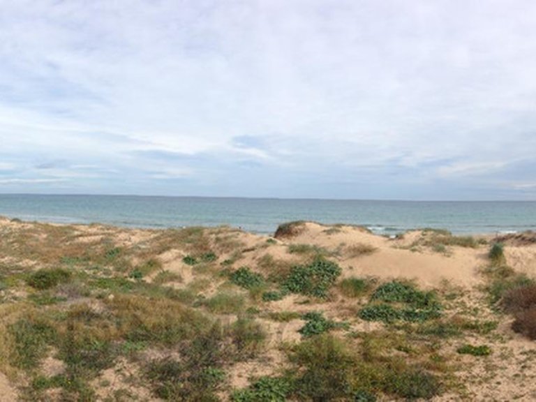 Apartment for Sale in Torrevieja, Alicante 44