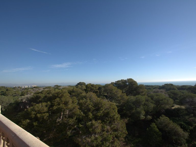 Apartment for Sale in Guardamar Del Segura, Alicante 15