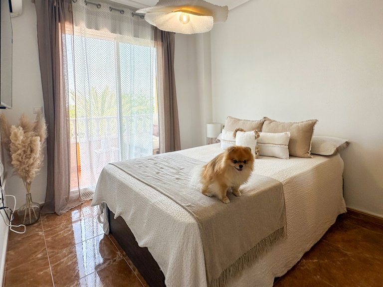 Apartment for Sale in Guardamar Del Segura, Alicante 16
