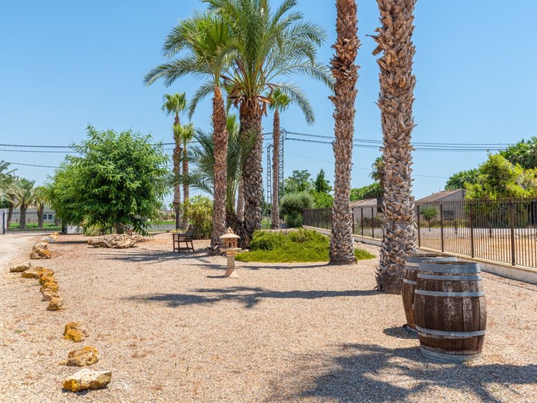 Villa for Sale in Catral, Alicante 9
