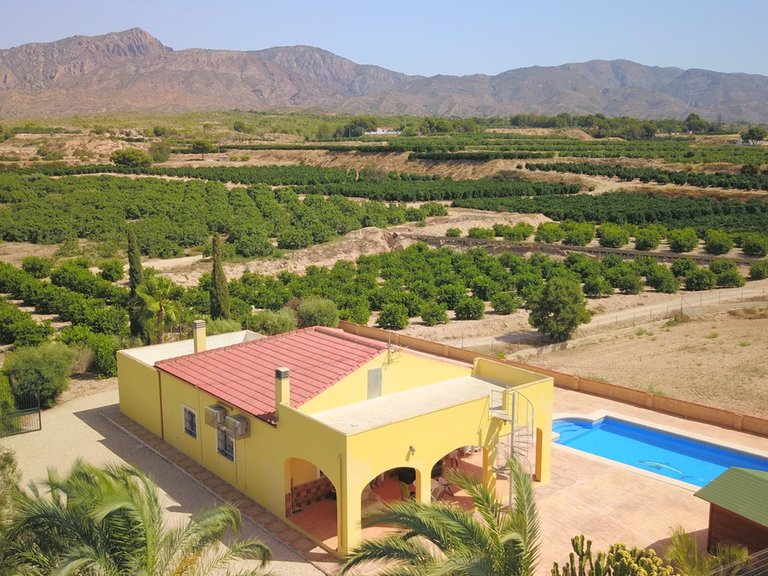 Villa for Sale in Albatera, Alicante 1