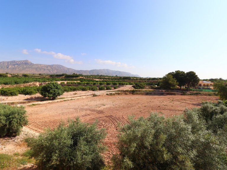 Villa for Sale in Albatera, Alicante 6