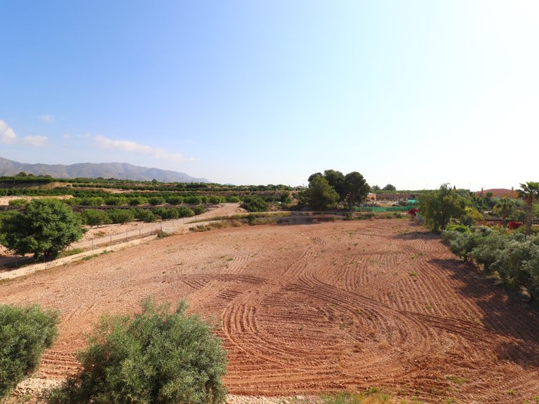 Villa for Sale in Albatera, Alicante 30